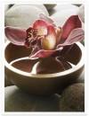 Flower Bowl