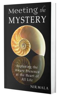 Meeting the Mystery by Nirmala