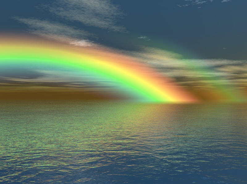 rainbow 67902