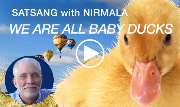 Video of Satsang with Nirmala: We Are All Baby Ducks.